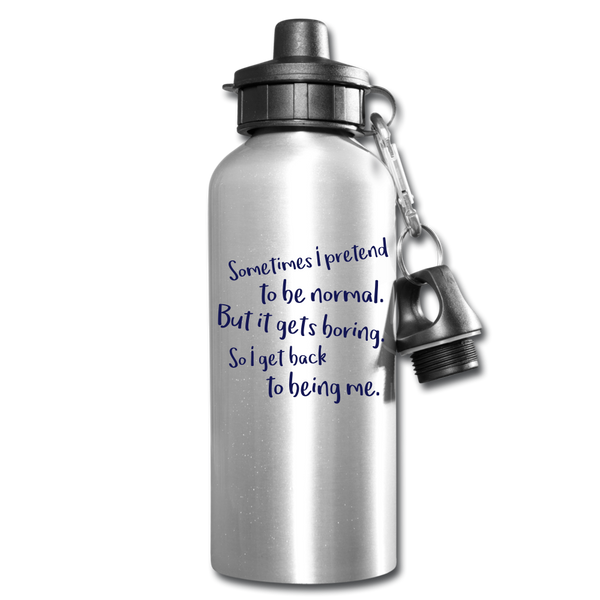 Water Bottle - silver